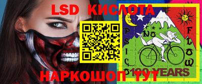 гашик Малгобек