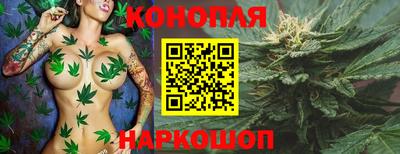 гашик Малгобек
