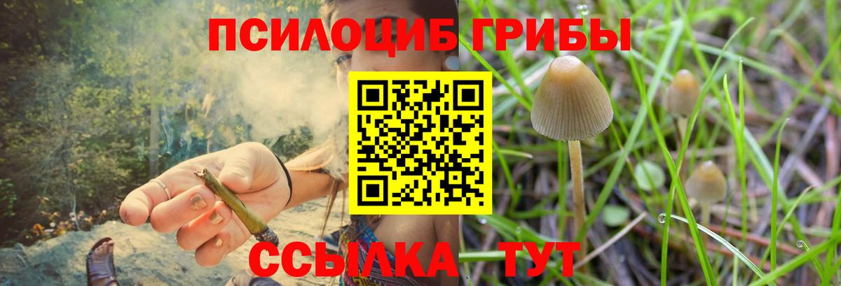 Галлюциногенные грибы Cubensis  Псилоцибиновые грибы MAGIC MUSHROOMS  Петрозаводск  Вход с VPN 